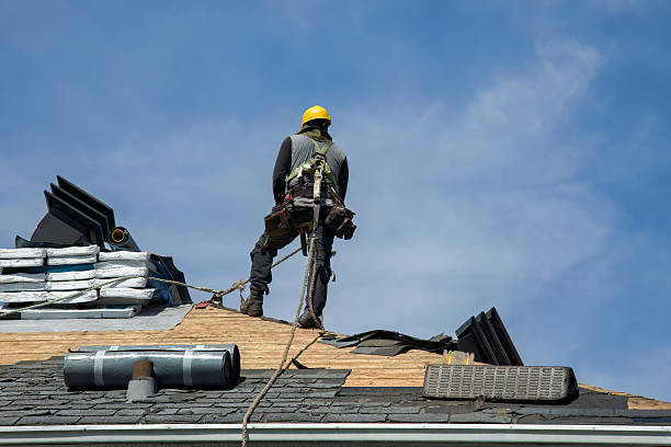 Professional Roof Replacement technician working in Groveland, ID